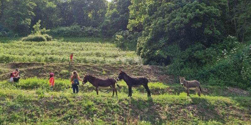 5x1000 a Cascina Rapello: 02994040133